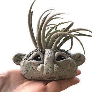 🛑SOLD🛑 Air plant holder/rock troll/face planter